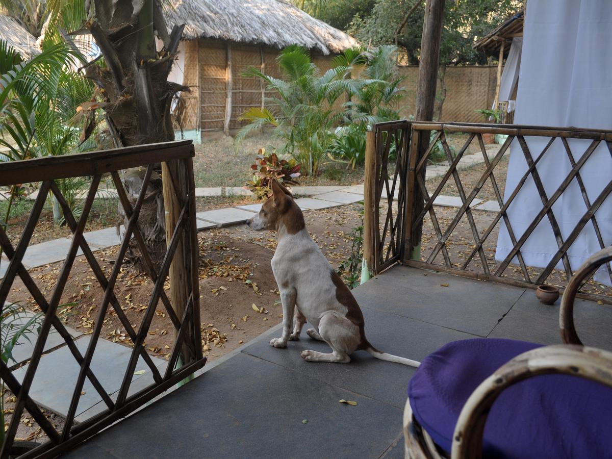 Tutti Garden Bungalows Hotel Mormugao Kültér fotó